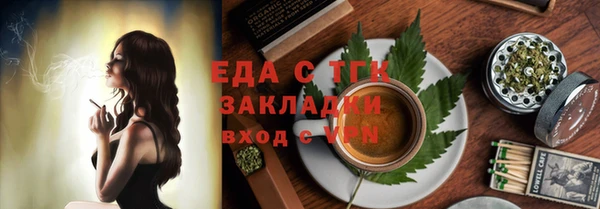 шишки Абаза