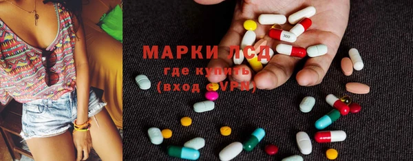 шишки Абаза
