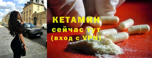 шишки Абаза