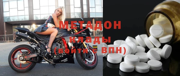 шишки Абаза